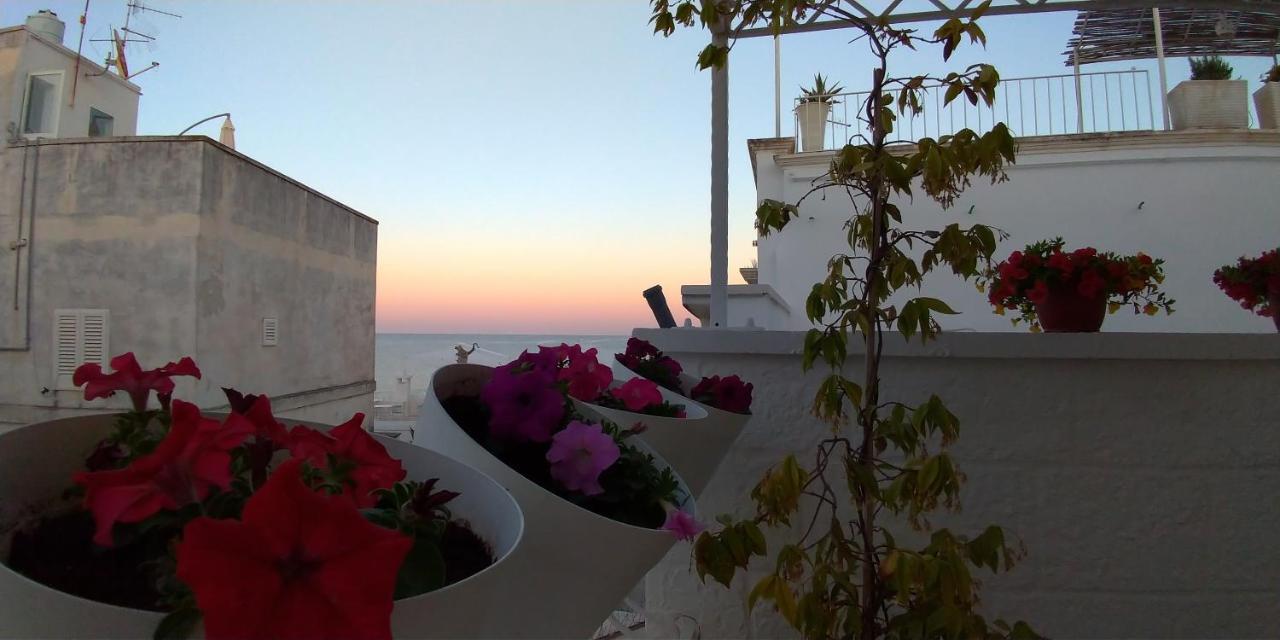 فندق My Monopoli- Casa Dei Fiori "Orchidea" Centro Storico المظهر الخارجي الصورة