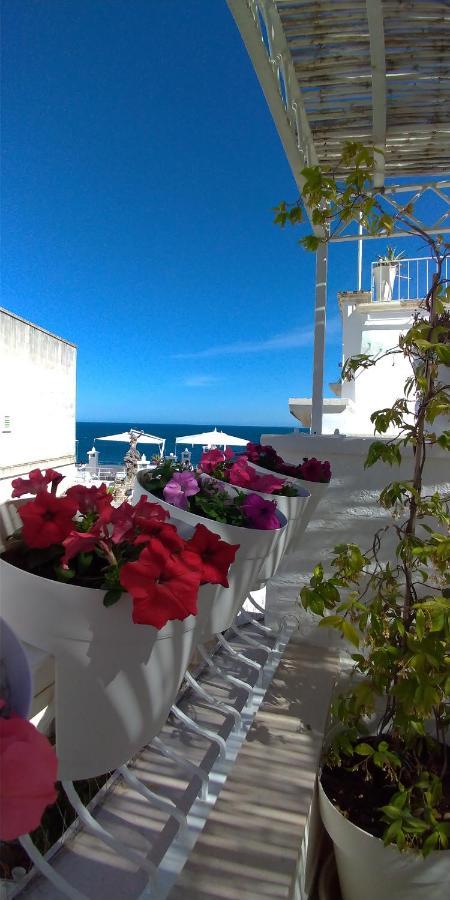 فندق My Monopoli- Casa Dei Fiori "Orchidea" Centro Storico المظهر الخارجي الصورة