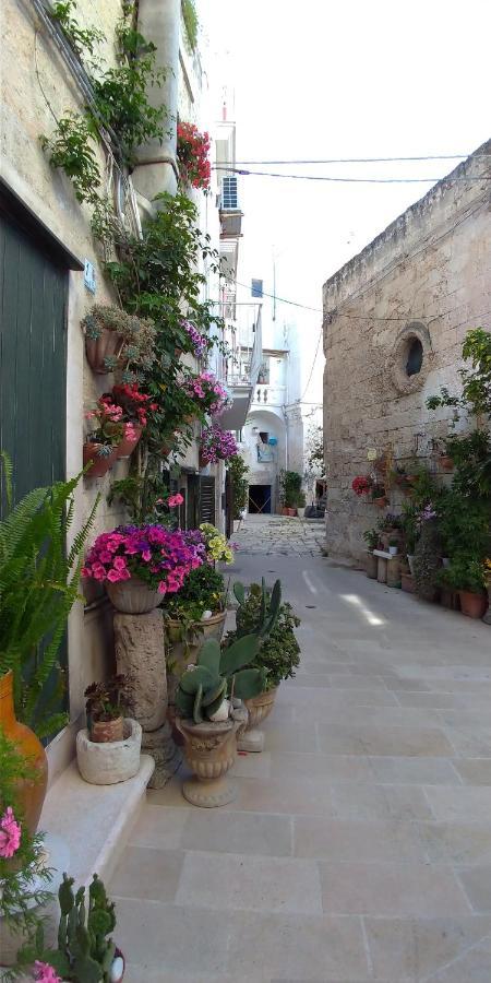 فندق My Monopoli- Casa Dei Fiori "Orchidea" Centro Storico المظهر الخارجي الصورة
