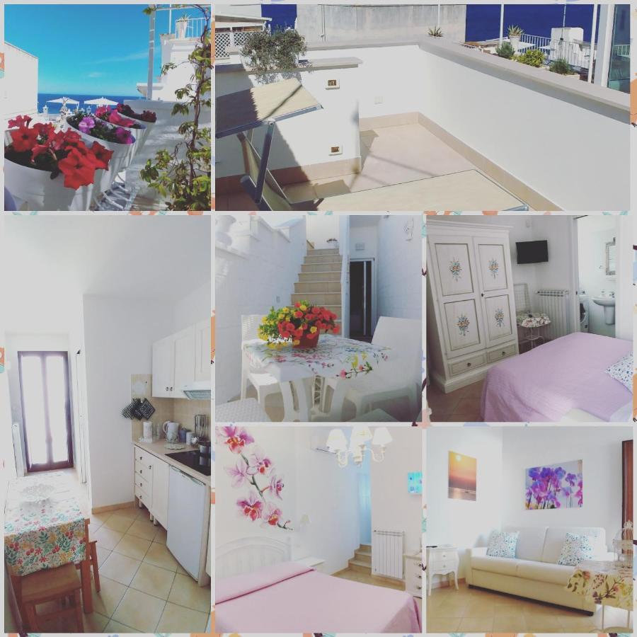 فندق My Monopoli- Casa Dei Fiori "Orchidea" Centro Storico المظهر الخارجي الصورة